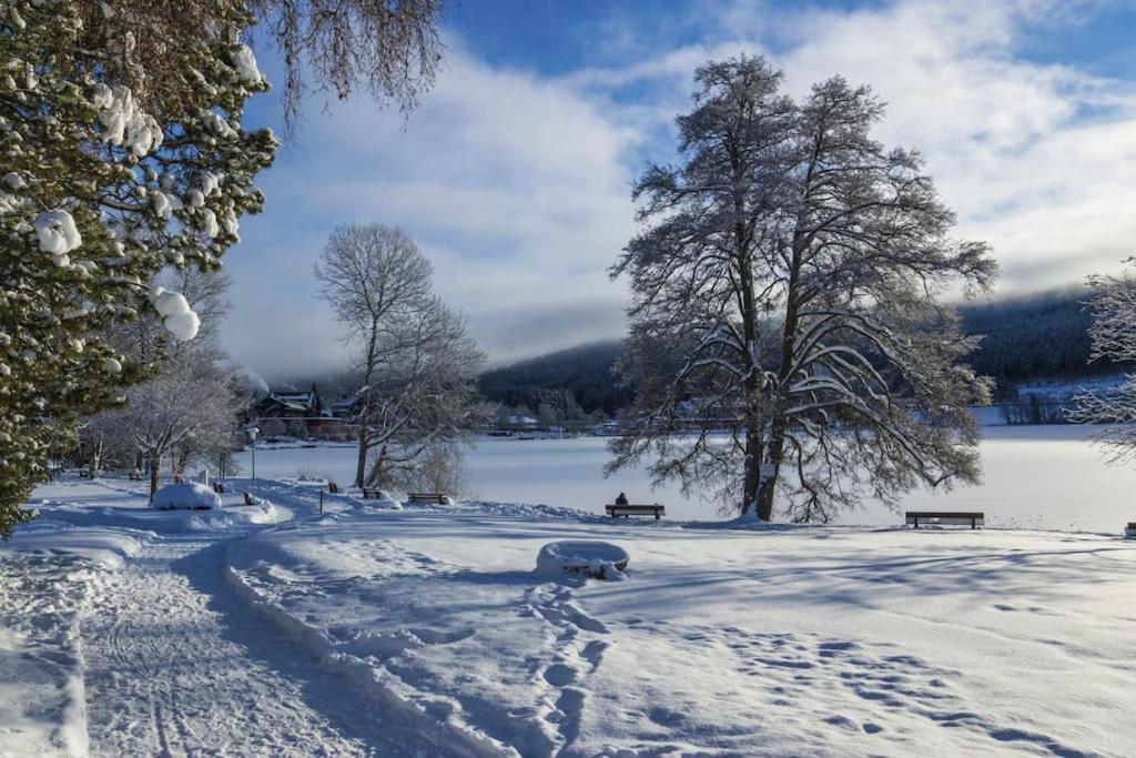 Waldtwin 2 Titisee Exterior foto