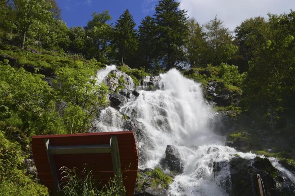 Waldtwin 2 Titisee Exterior foto
