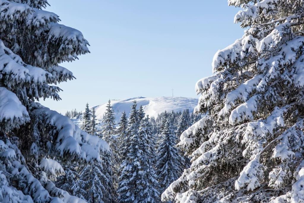 Waldtwin 2 Titisee Exterior foto